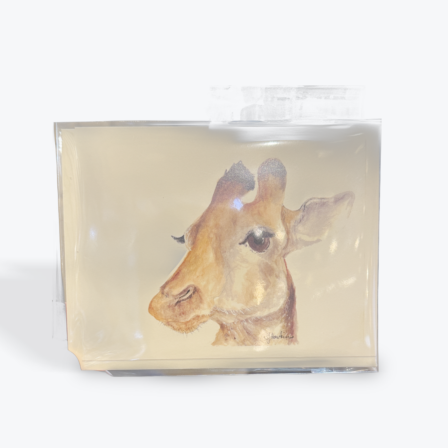 Giraffe Greeting Card