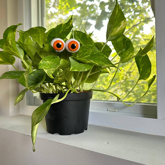 Plant Eyeballs