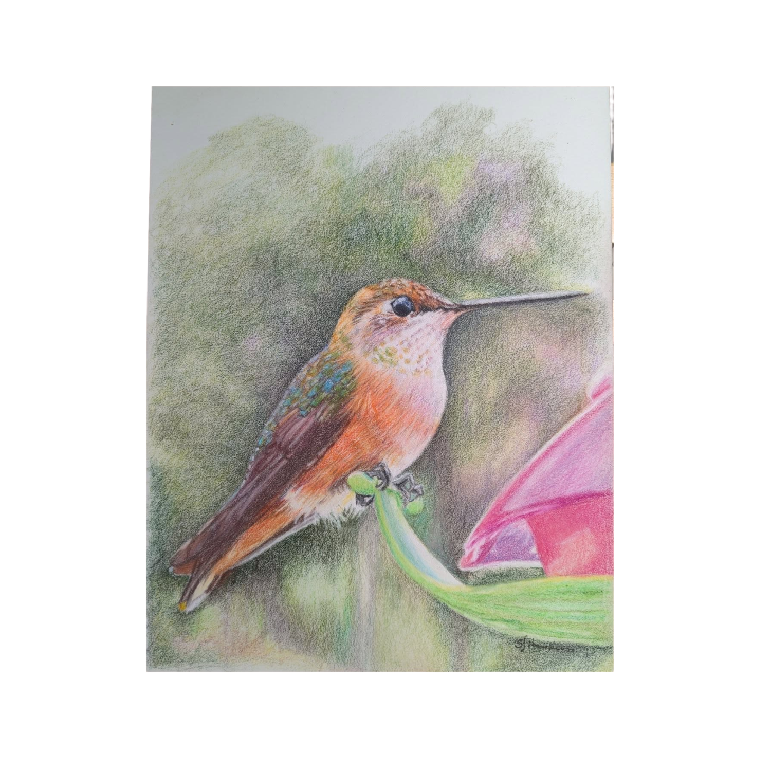 Artist Susan Hawkins