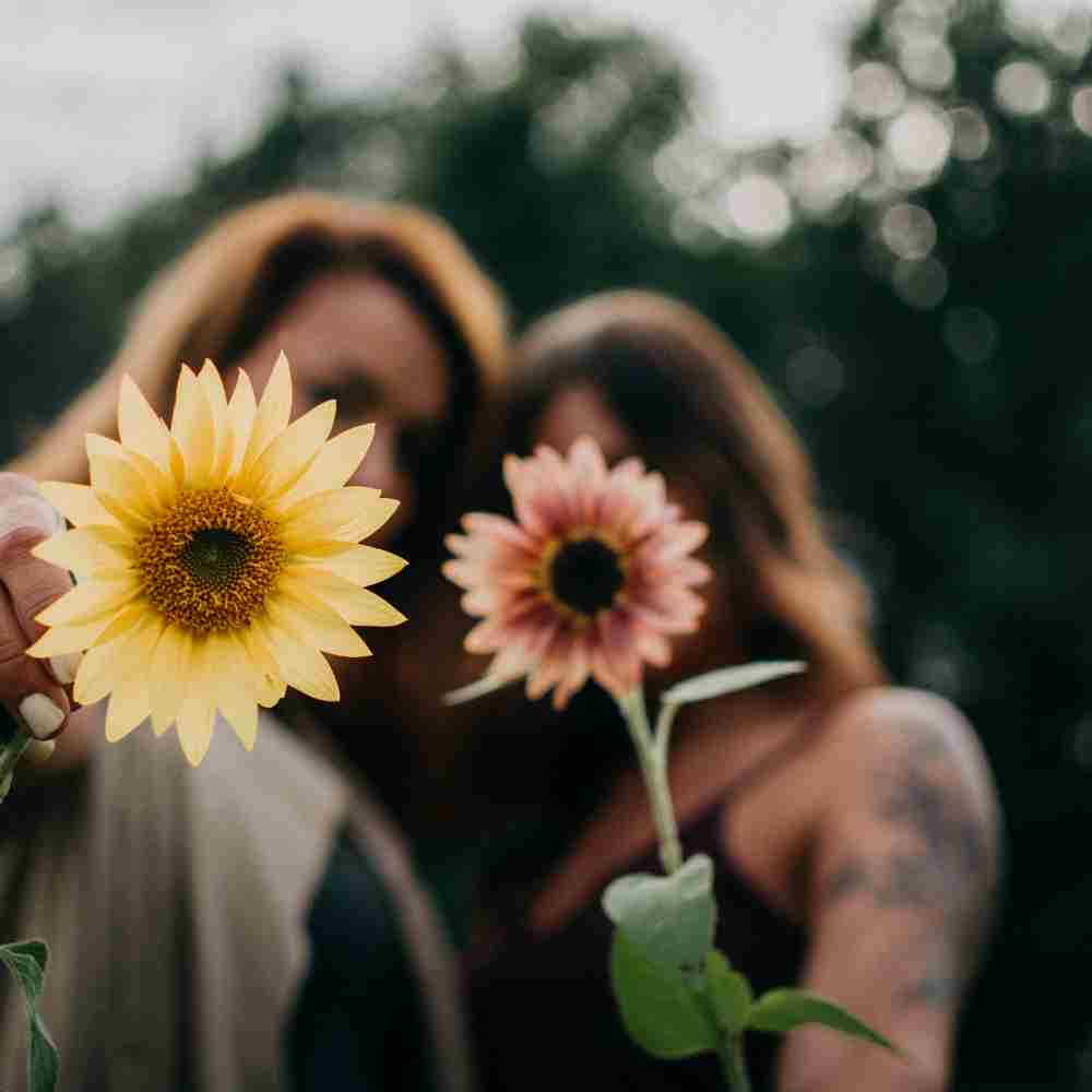 Two women, each holding a flower in her hand and extending it so her face is partially obscured.