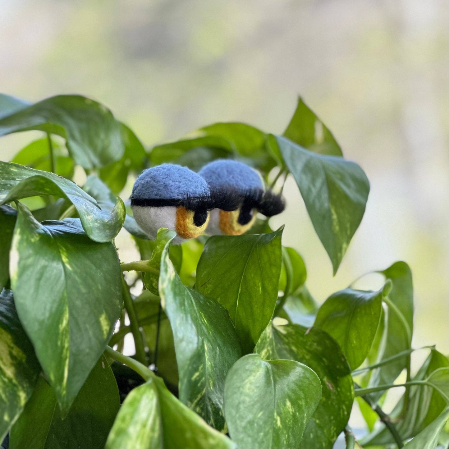 Felt Planter Eyeballs with Eyelashes 