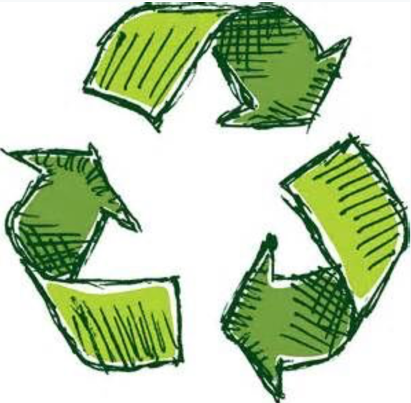 Driftwood Delight 550-Piece Puzzle