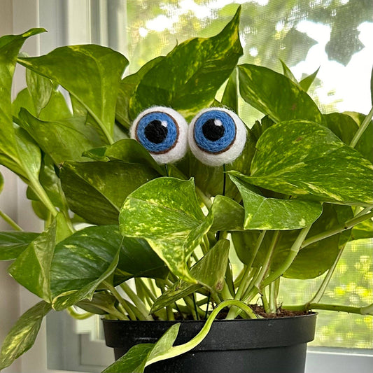 Plant Eyeballs