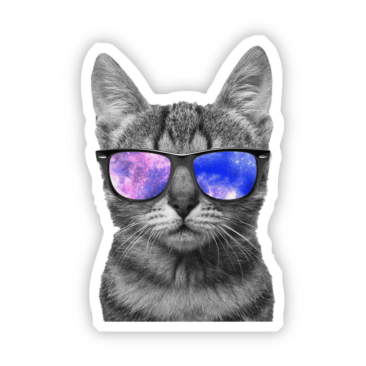 Cat wearing sunglasses with a space-themed lens on a white background