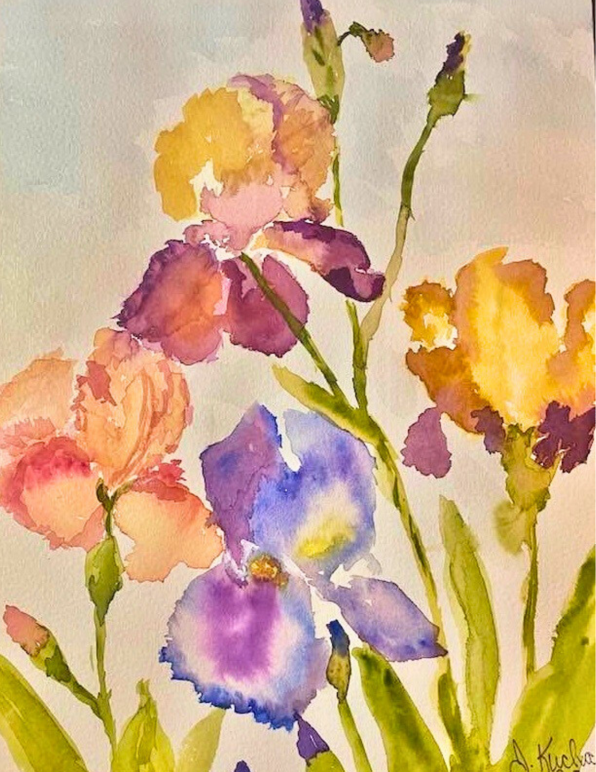 Jacalyn Kuchar Greeting Cards