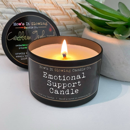 Candle labeled 'Emotional Support Candle' with a lit flame, placed on a surface with a plant in the background.