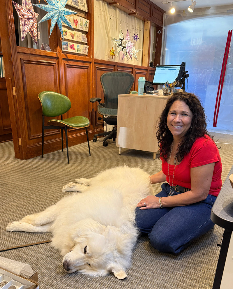 A woman in a red shirt and blue jeans kneels on a carpeted floor next to a large white dog lying on the floor in an office-like room with wood paneling, desks, and boxes in the foreground.