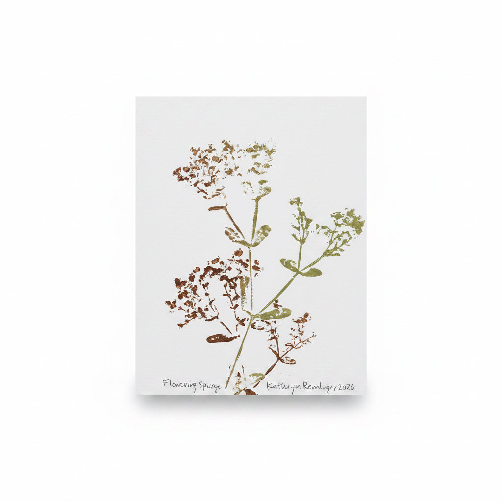 Card, Flowering Spurge, MI Native Plant, Hand-pressed Botanical Print