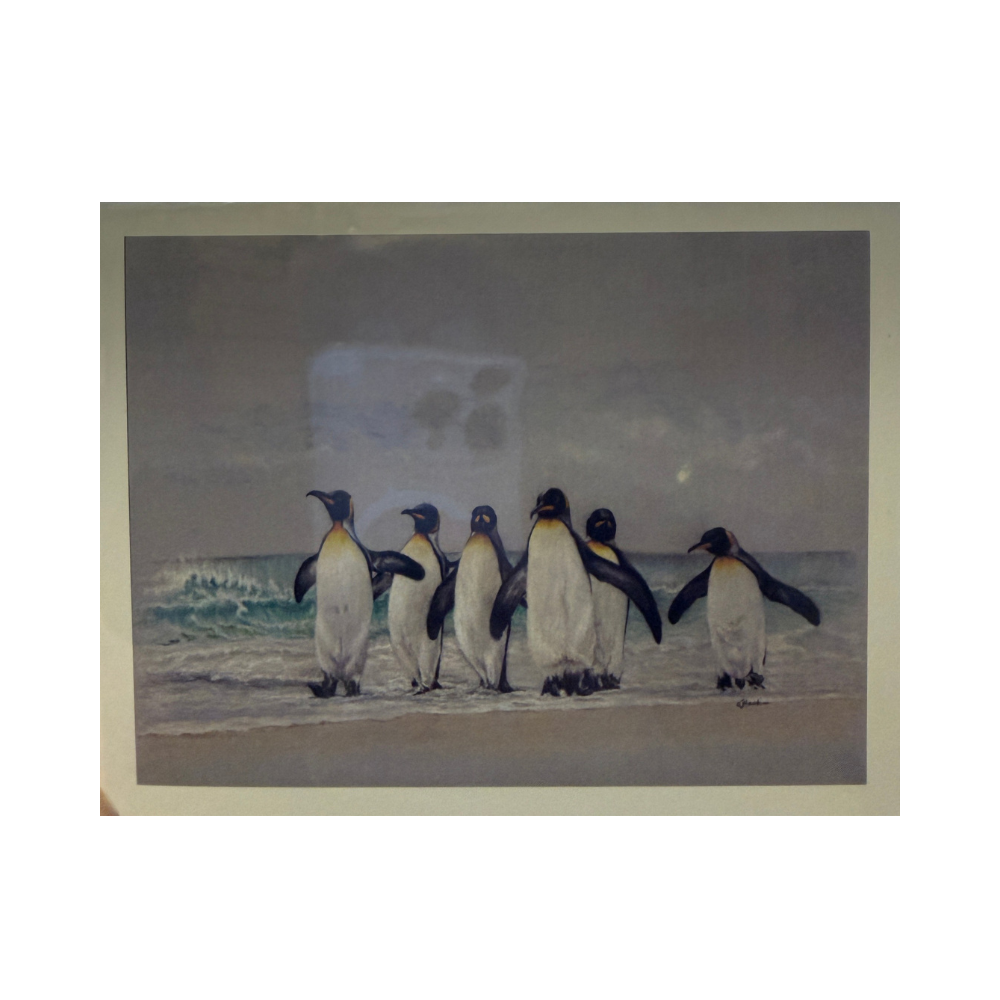 Penguins Blank Note Card