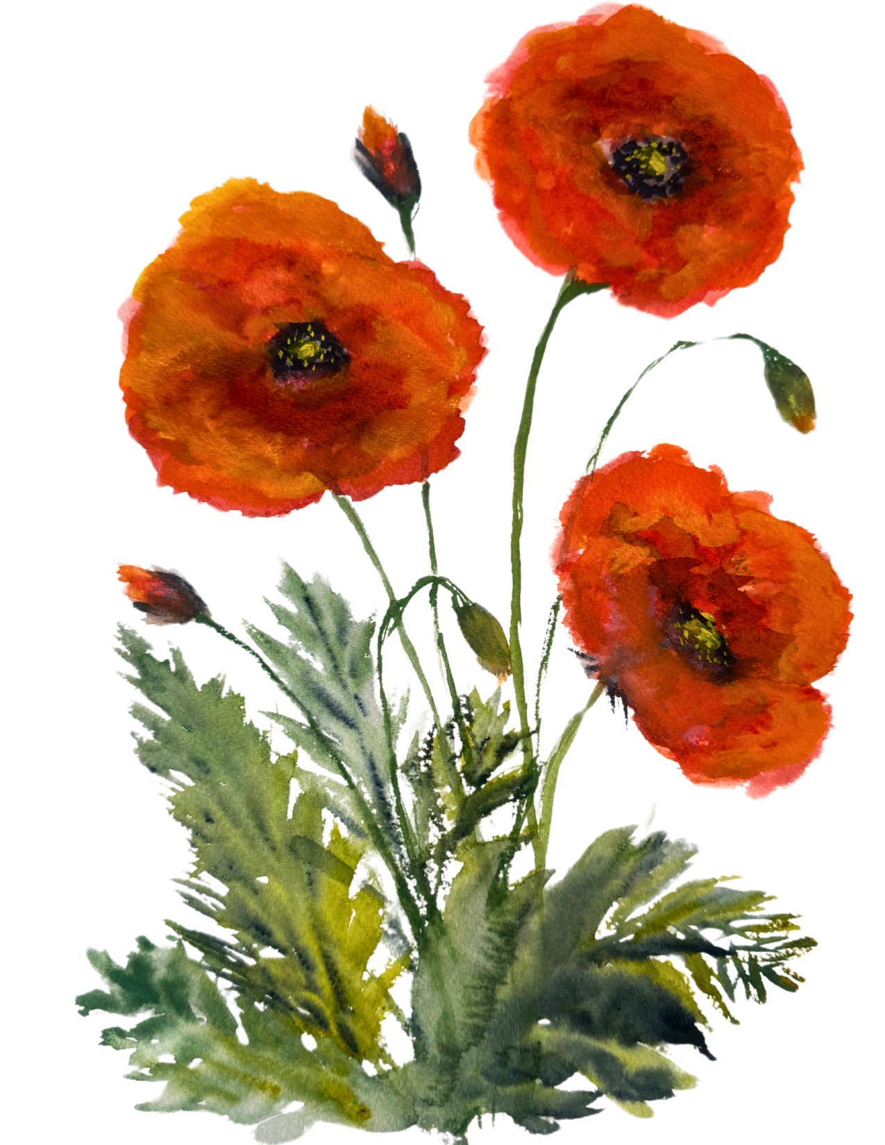 Jacalyn Kuchar Greeting Cards