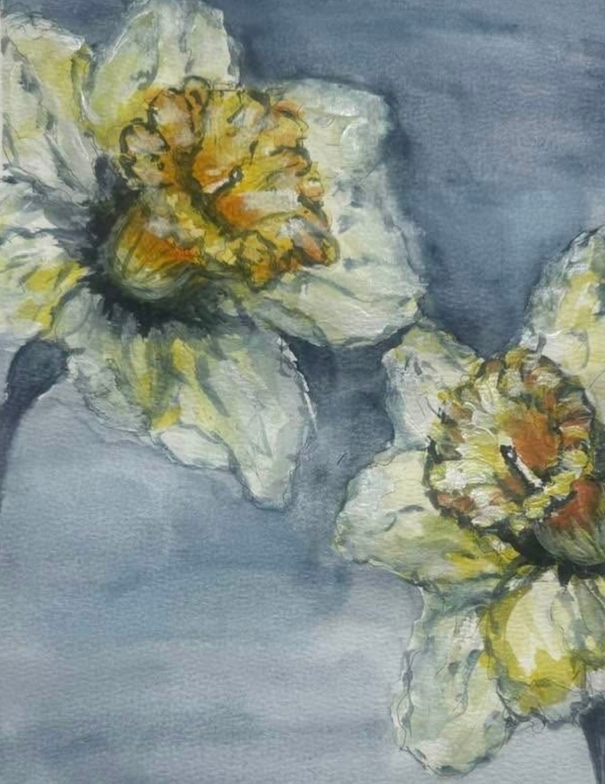 Jacalyn Kuchar Greeting Cards
