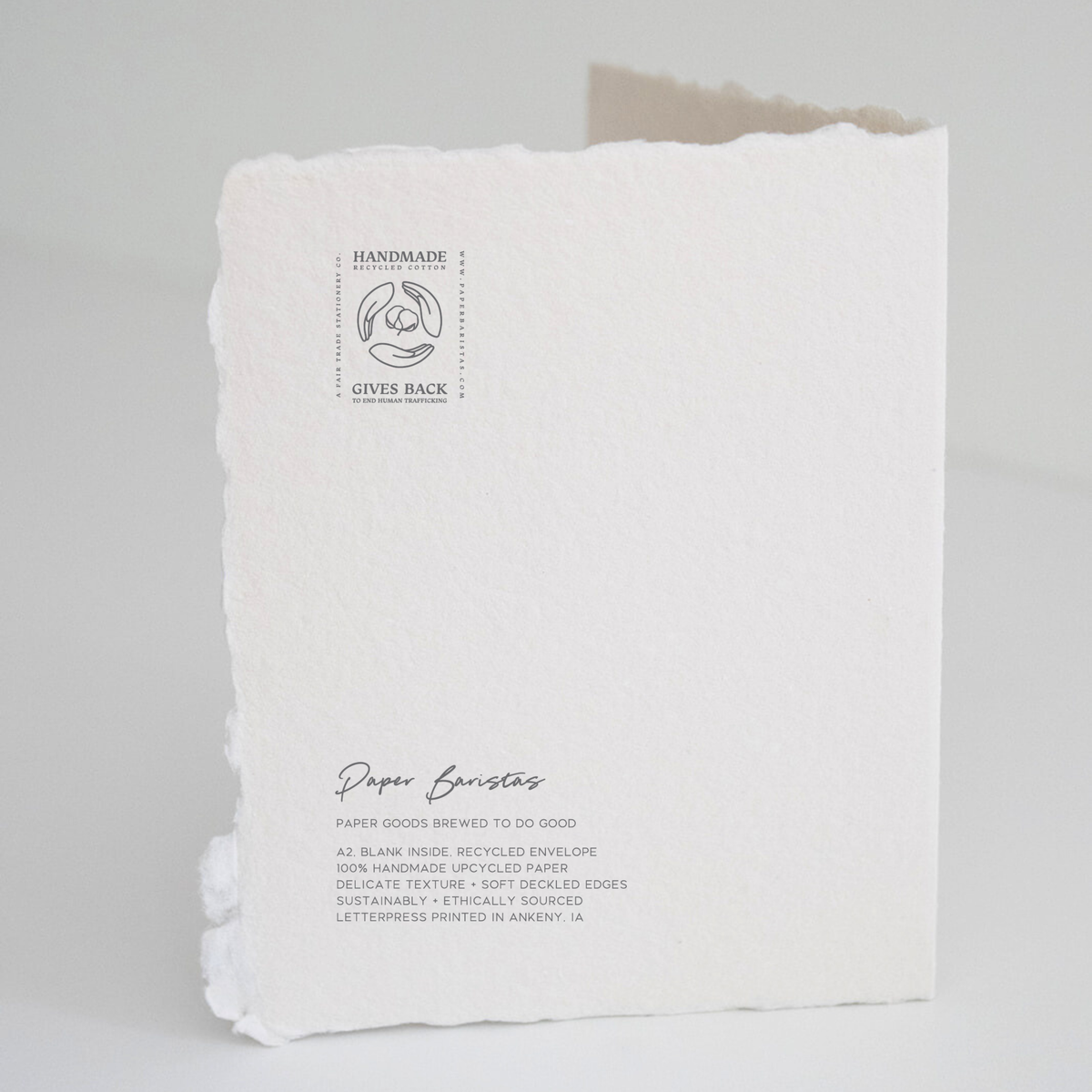 Thank You | Eco-Friendly Gratitude Greeting Card