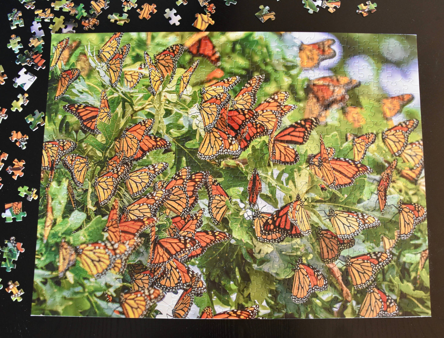 Monarch Migration,  550 Piece Jigsaw Puzzle