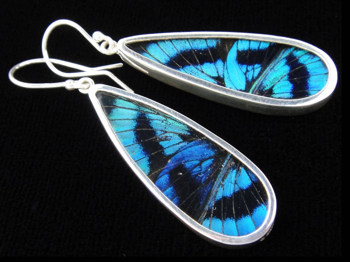 Shimmerwings &quot;Blue Flash&quot; Butterfly Long Drop Earrings