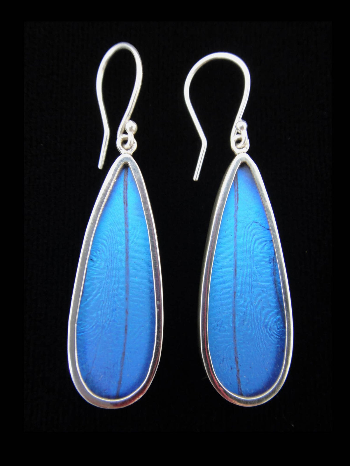 Shimmerwings &quot;Blue Morpho&quot; Butterfly Long Drop Earrings
