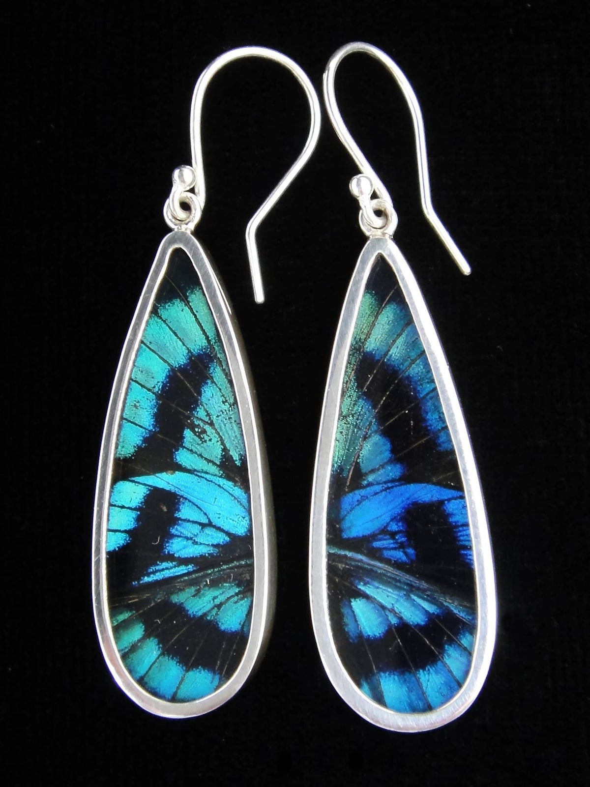 Shimmerwings &quot;Blue Flash&quot; Butterfly Long Drop Earrings
