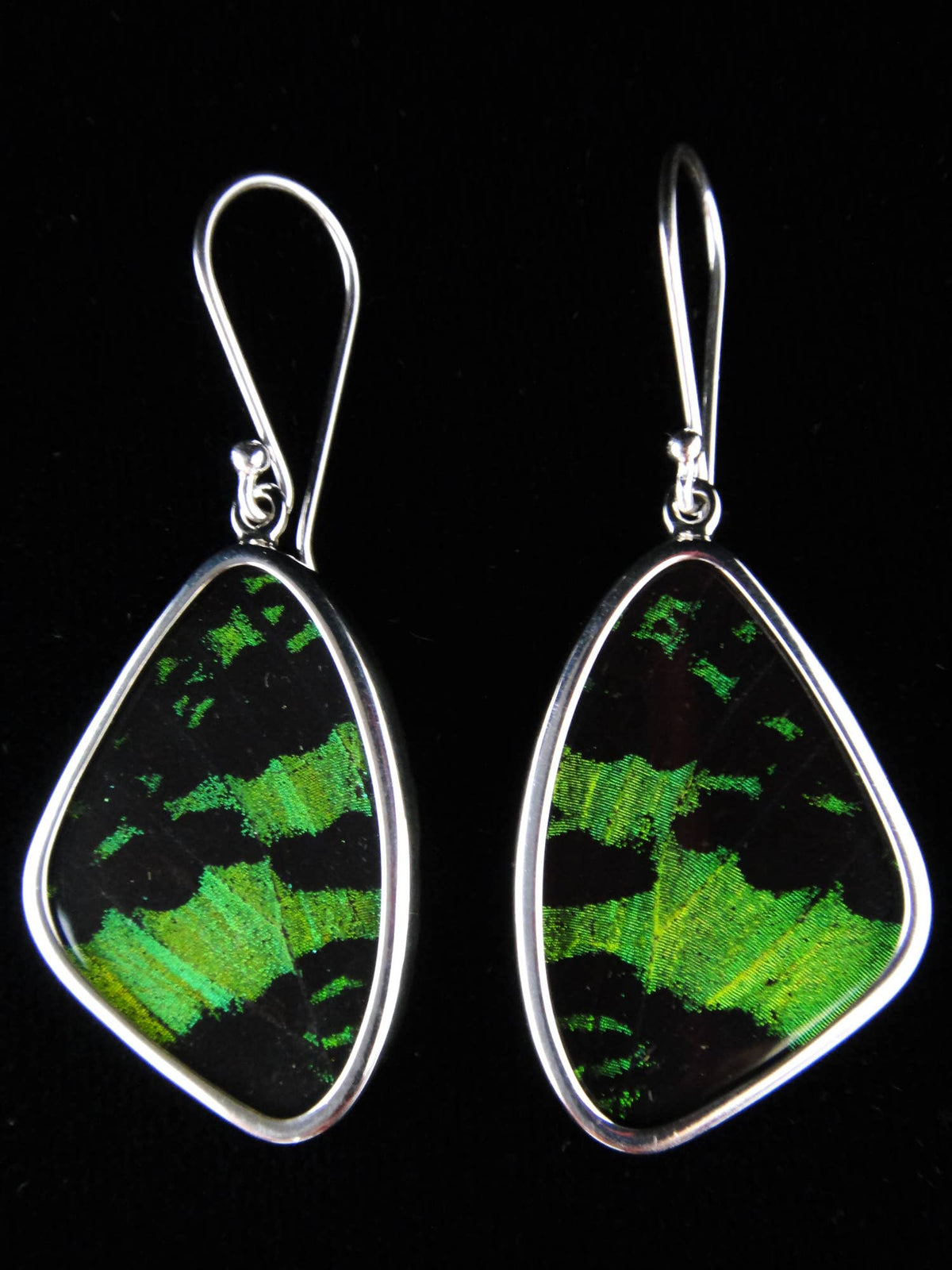Shimmerwings &quot;Green &amp; Black&quot; Butterfly Medium Earrings