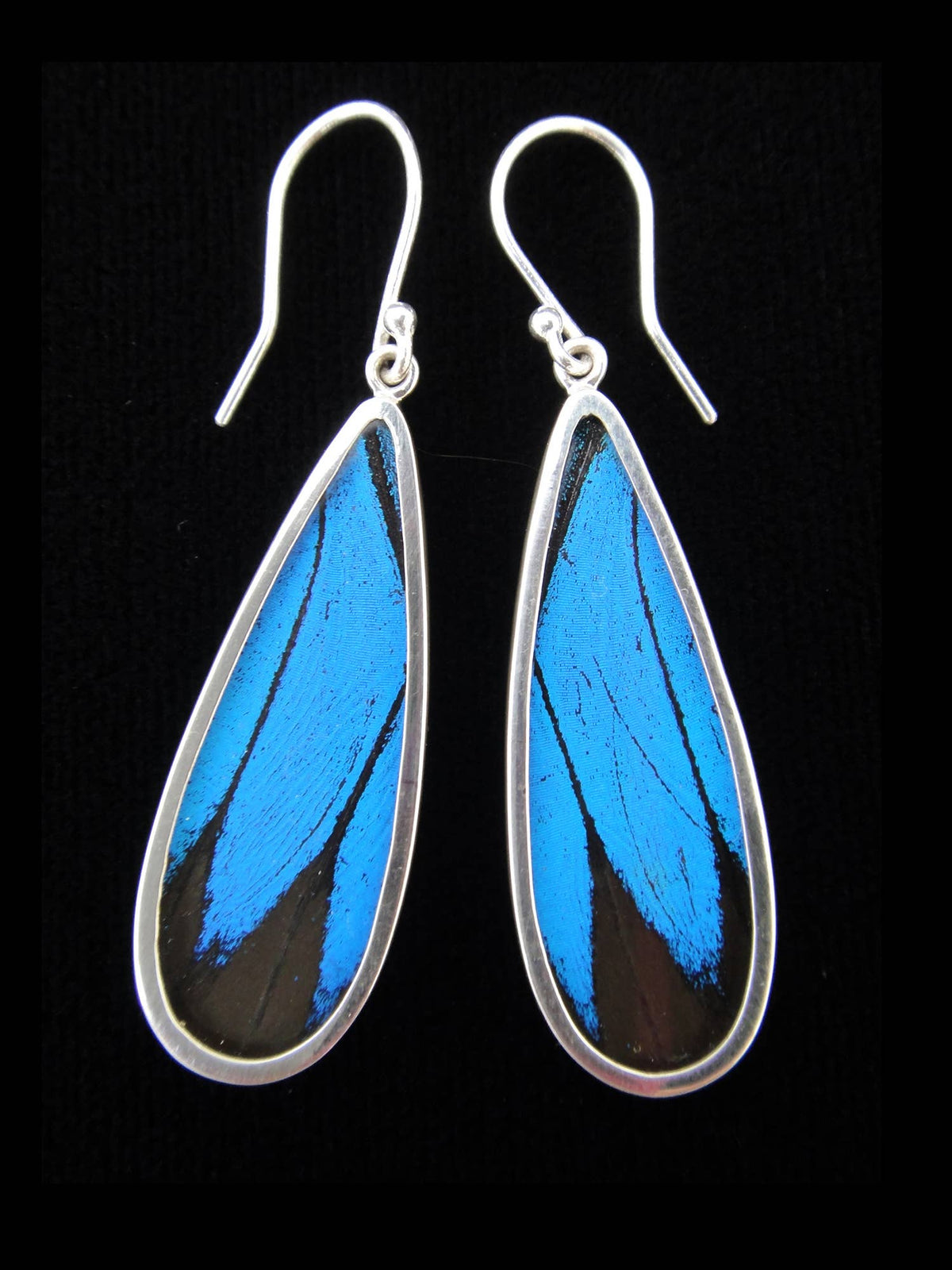 Shimmerwings &quot;Blue &amp; Black&quot; Butterfly Long Drop Earrings